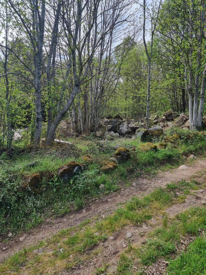Quinta De Leandres Hotell Manteigas Exteriör bild